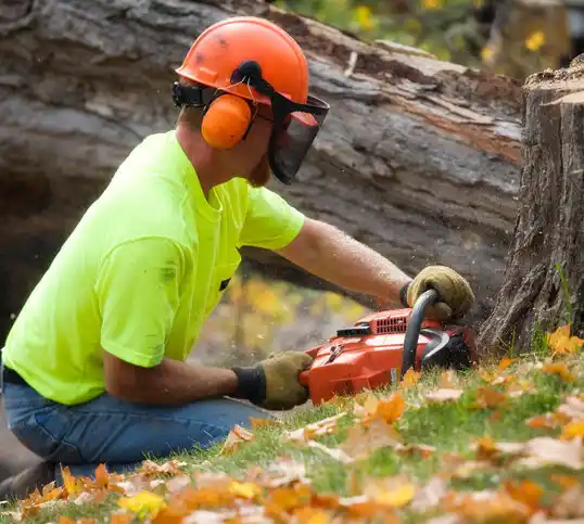 tree services Lone Jack